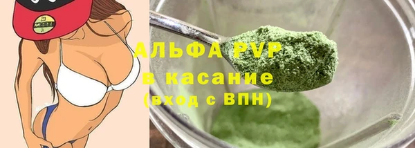 стафф Бородино