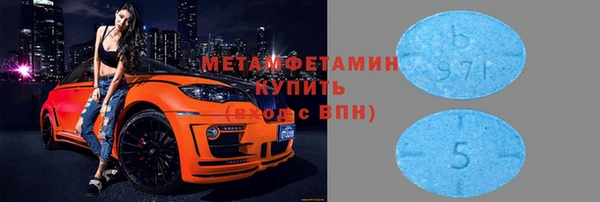 прущие грибы Бугульма