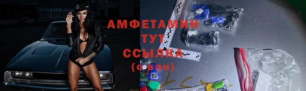 бошки Бронницы
