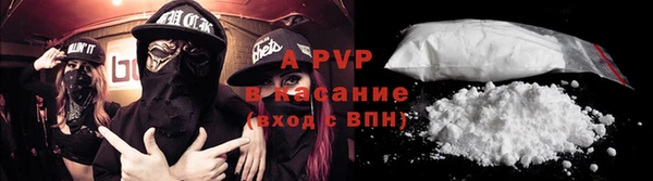 стафф Бородино