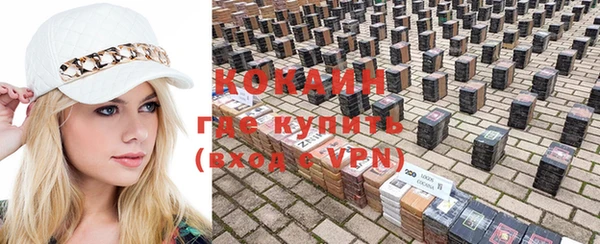 прущие грибы Бугульма