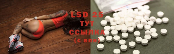 стафф Бородино