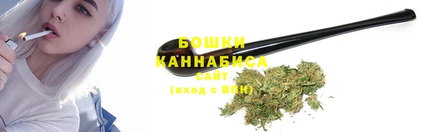прущие грибы Бугульма