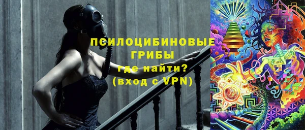 стафф Бородино
