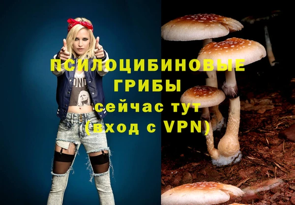 прущие грибы Бугульма