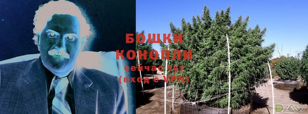бошки Бронницы