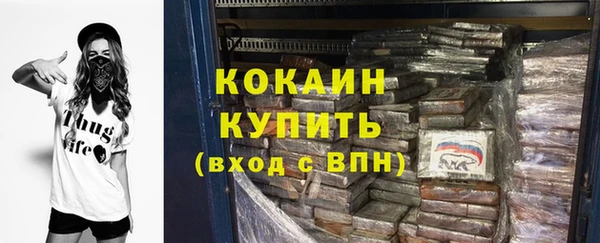бошки Бронницы