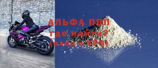 прущие грибы Бугульма