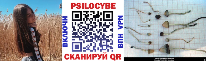 Псилоцибиновые грибы мицелий  Крым 